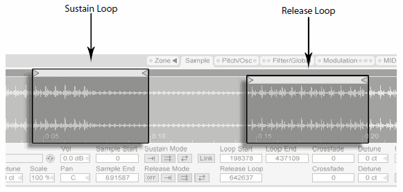 Файл:Ableton live Sustain and Release Loops.png