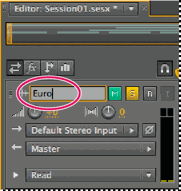 Файл:Adobe Audition track name.png