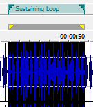 Файл:Sound Forge insert loop View.png