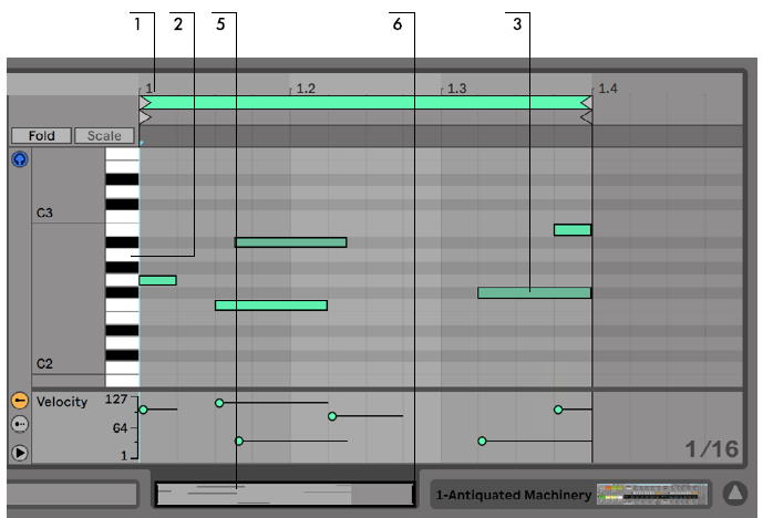 Файл:Ableton Live MIDI Editor Navigation.jpg